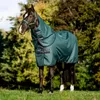 Horseware Amigo Ripstop 900D Plus Turnout 100g Decke Produktbild-Vorschau 1