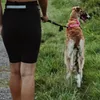 Dingo Hundegeschirre Sled Große XS Farbe Rosa Zuggeschirr Produktbild-Vorschau 6