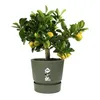 ELHO Greenville 25 runder Blumentopf - Außen - Ø 24,48 x H Produktbild-Vorschau 4