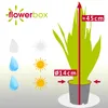 Bogenhanf - pflegeleichte Zimmerpflanze, Sansevieria Produktbild-Vorschau 4
