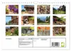 Almenglück (Wandkalender 2027 DIN A4 quer), CALVENDO Produktbild-Vorschau 2