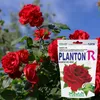 PLANTON R Mehrkomponentendünger für Rosen 200g Produktbild-Vorschau 12