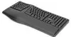 Digitus Ergonomische Tastatur, kabellos, 2,4 GHz Anteprima dell’immagine prodotto 9