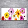 Tulup Leinwand-Bilder 120x60 Wandbild Canvas Kunstdruck Produktbild-Vorschau 2