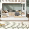 A white bunk bed with a pull-out trundle bed, shown in a bedroom setting with a light green wall and a rug on the floor. Anteprima dell’immagine prodotto