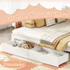 okwish Etagenbett Stockbett 90x200cm mit Ausziehbett und Produktbild-Vorschau 8