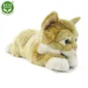 RAPPA Peluche chat tabby rouille 40 cm ECO-FRIENDLY Voir les images du produit 10