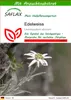 SAFLAX - Edelweiss - Leontopodium alpinum - 500 Samen - Mit Produktbild-Vorschau 1
