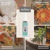 Care Denta Clean Spray dentale - 100 millilitri Anteprima dell’immagine prodotto 11