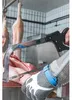 Dick Knochensäge Gefriergutsäge 35 cm nichtrostend Produktbild-Vorschau 3
