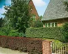 Berberis thunbergii 'Atropurpurea', Blutberberitze, Produktbild-Vorschau 5