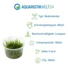 Gräser Set mit 3 Gras Pflanzen Aquariumpflanzen Set 130 Produktbild-Vorschau 4