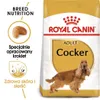 Royal Canin Cocker Adult, Dorosły, Cocker Spaniel, Średnie Podgląd zdjęcia produktu 4