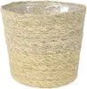 Goldfruchtpalme 130-150 cm + Übertopf Ingmar Arecapalme  Produktbild-Vorschau 2