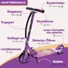 Habib Erwachsenen-Roller Cityroller für Jugendliche | Produktbild-Vorschau 2