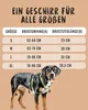 RUDELKÖNIG Hundegeschirr Bella Grün Größe L – Gepolstertes Produktbild-Vorschau 6
