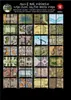 A Giant Book of Battle Mats: Dragon Lairs & Dungeons – Náhled obrázku produktu 3