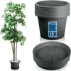 6X Blumentopf 34cm mit Untersetzer 30cm Pflanzkübel Grau Produktbild-Vorschau 1