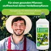 Purgrün -Heidelbeerdünger | Flüssigdünger mit Algenextrakt Produktbild-Vorschau 2