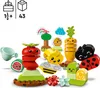LEGO 10984 DUPLO My First Biogarten Bausteine-Box, Produktbild-Vorschau 3