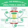 Urolithin A (120 Kapseln) Nahrungsergänzungsmittel, Produktbild-Vorschau 3