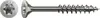 A close-up studio shot of a single screw, shown from two angles: the head and the full length. Anteprima dell’immagine prodotto