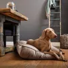 Designed by Lotte Nalino Liegekissen - Hund - Samt - grau - Produktbild-Vorschau 2