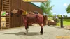 Nintendo Switch My Little Riding Champion Produktbild-Vorschau 3