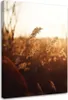Leinwandbild wiese in der sonne 80x120 cm Feeby braun Produktbild-Vorschau 1