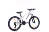 Mountainbike 24 Zoll Mountainbike mit Aluminium-Rahmen 21 Produktbild-Vorschau 2