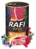 Dolina Noteci Rafi, Dorosły, Każda rasa, Gigant (> 45 Podgląd zdjęcia produktu 15