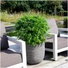 Bambù topico 'Boobux XL 1x - Ø 29 cm - ↨ 70 cm Anteprima dell’immagine prodotto 3