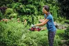 Accuheggenscharen GC-CH 18/50 Li-Solo (rood/zwart, zonder Productafbeelding-voorbeeld 4