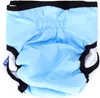 A light blue dog diaper with black trim and elastic waistband is shown against a white background. Anteprima dell’immagine prodotto