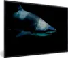 MuchoWow® MuchoWow® Gerahmtes Poster Hai - Makro - Wasser Produktbild-Vorschau 1