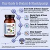 DR WAKDE'S Brahmi & Shankhpushpi Kapseln | 60 Vegi Caps | Produktbild-Vorschau 5
