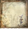 Scrapbooking-Papier Set 30×30 cm – SLS-049 Herbarium 2 – Produktbild-Vorschau 21