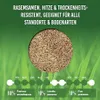LERAVA CHAMPION 300m² - Rasensamen dürreresistent - Produktbild-Vorschau 6