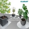 Untersetzer für Blumentöpfe mit abgeschrägter Kante Majesty Produktbild-Vorschau 6