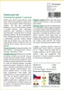 SAFLAX - Odolný paví keř - Caesalpinia gillesii X spinosa - Náhled obrázku produktu 3