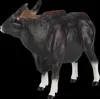 Mojo Fun Gaur Bull, 3 rok / roky, Wildlife, Čierna, Hnedá, Náhľad obrázku produktu 7