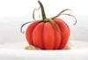 Silikonform Tomate 30x17cm 288ml Produktbild-Vorschau 5