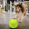 balle de tennis géante extra-large de 9,5 pouces, balle de Voir les images du produit 1