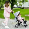 ROWEREK TRÓJKOŁOWY 5w1 - MoMi INVIDIA SZARY - KOSZ TORBA Podgląd zdjęcia produktu 10