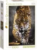 puzzle Walk of the Jaguar 1000 Teile Produktbild-Vorschau 8
