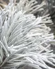 A close-up shot of frosted pine needles. Voir les images du produit