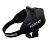 Julius K9 Idc Power Harness / Postroj pro značky Black Náhled obrázku produktu 7