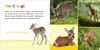 Hör mal rein - Tierbabys Produktbild-Vorschau 2