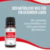 Adema Natural® Figur Kügelchen – Stoffwеchsel anregen – Produktbild-Vorschau 6
