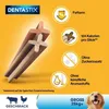PEDIGREE® DENTASTIX™ Daily Oral Care Karton Multipack große Produktbild-Vorschau 4